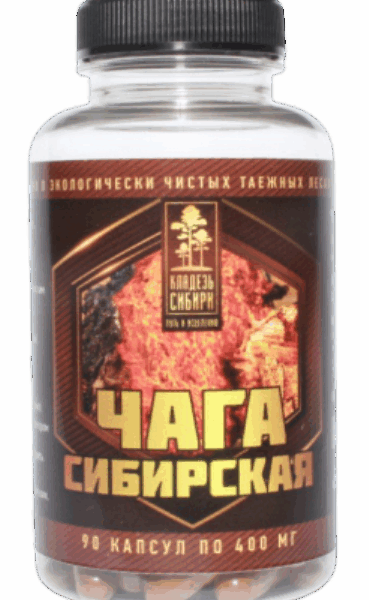 Чага сибирская